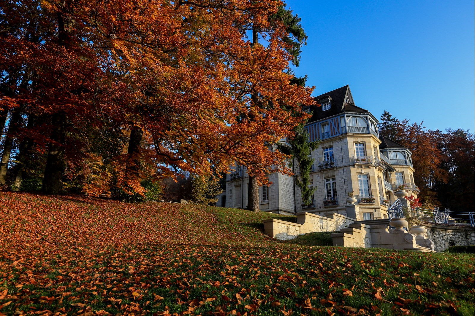 Le château des avenières